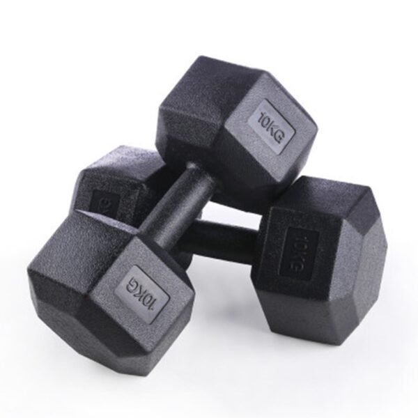 PVC Hex Dumbbell 10 kg ดัมเบลหกเหลี่ยม (1 คู่) ยกน้ำหนัก สร้างกล้ามเนื้อ