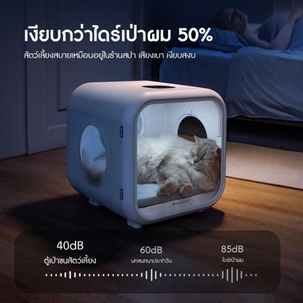 (Pre-order 60 days) Pet Dryer Room 62L เครื่องเป่าขนสัตว์เลี้ยง เวอร์ชันอัปเกรด สินค้าแท้ มาตราฐาน มอก